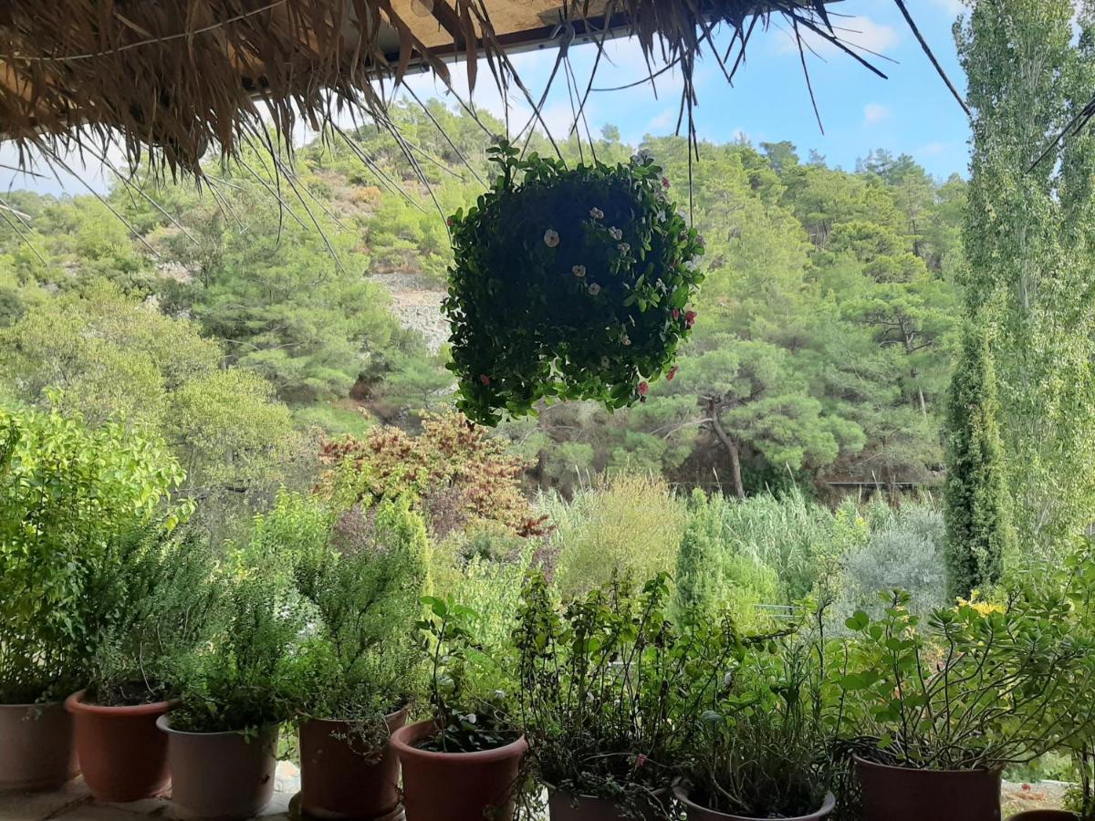 Blue Cottage Αψιού Εξωτερικό φωτογραφία