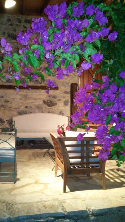 Blue Cottage Αψιού Εξωτερικό φωτογραφία