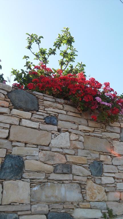 Blue Cottage Αψιού Εξωτερικό φωτογραφία