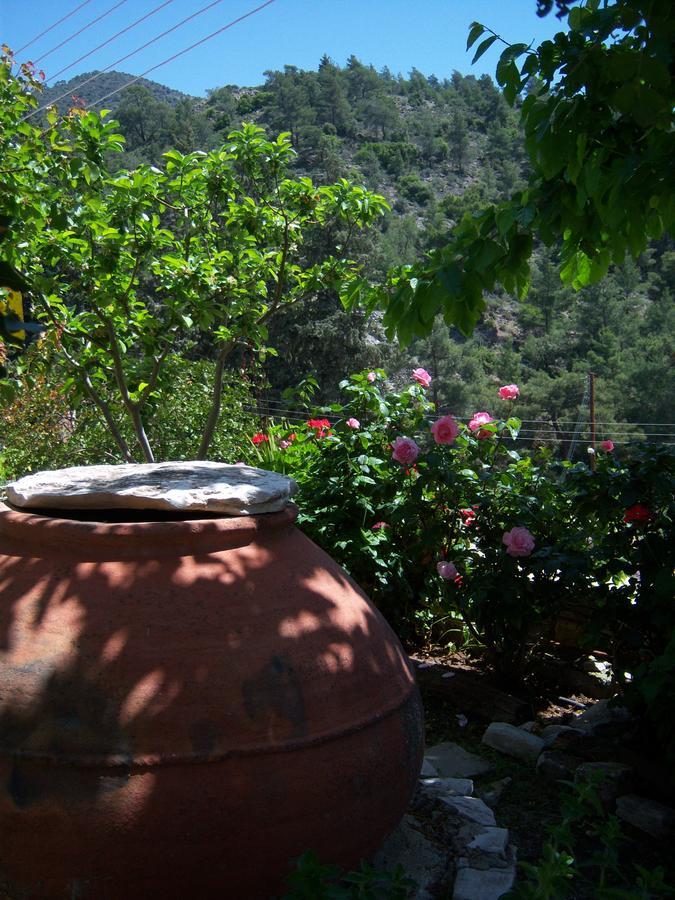 Blue Cottage Αψιού Εξωτερικό φωτογραφία