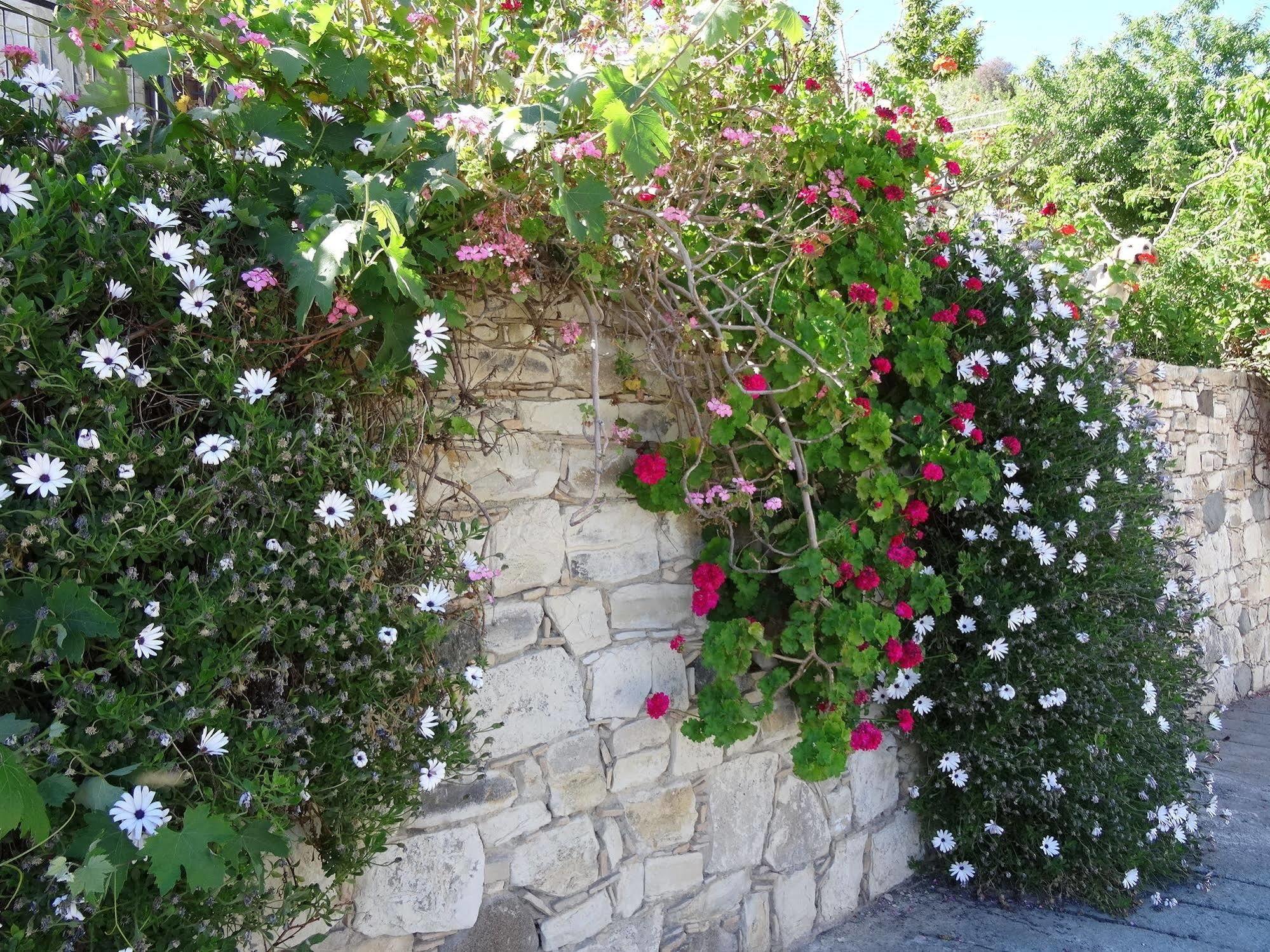 Blue Cottage Αψιού Εξωτερικό φωτογραφία